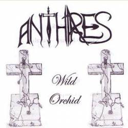 Anthares (CH) : Wild Orchid
